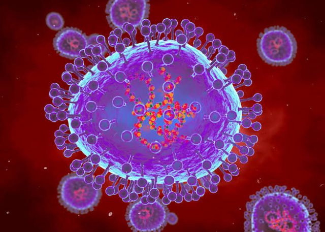 Virus HMPV Indonesia