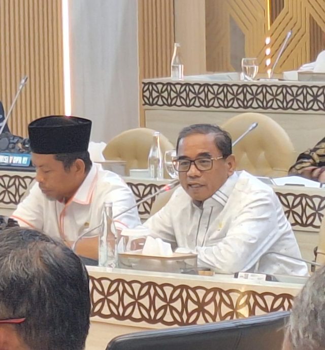 Ahmad Fauzi DPR RI