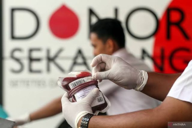 Donor darah pmi