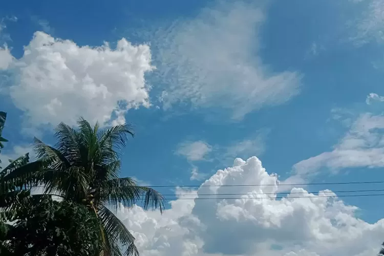 Cuaca Tangsel 25 Oktober