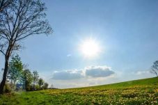 Cuaca Tangsel 3 November