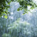 Cuaca Tangerang Selatan