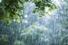 Cuaca Tangerang Selatan