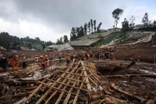 Petugas SAR dan tim BNPB melakukan pencarian korban di lokasi longsor Kampung Pasir Kuning, Desa Pasirlangu, Kecamatan Cisarua, Kabupaten Bandung Barat.