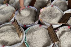 Beras SPHP Bulog sebagai bagian dari kebijakan beras satu harga 2026 untuk menekan disparitas harga beras nasional.